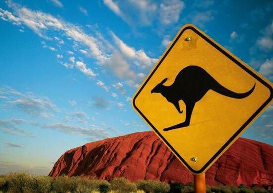 Guida autonoma in Australia, è allarme: non riconosce i canguri Guida autonoma in Australia, è allarme: non riconosce i canguri