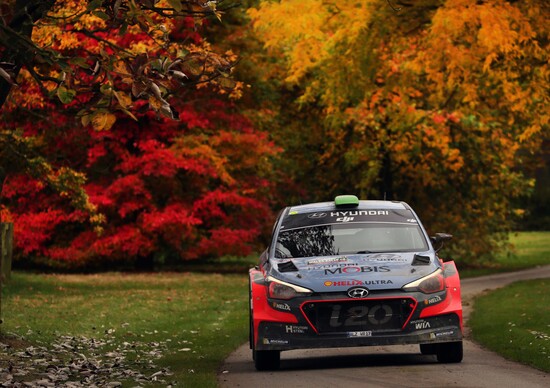 WRC con Hayden Paddon: Galles